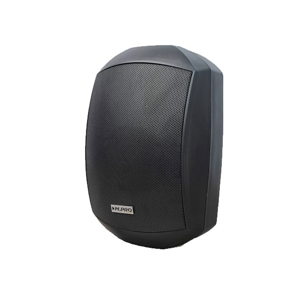 بلندگو دیواری DP-4100 - فروشگاه FG-Sound