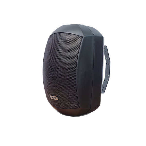 بلندگو دیواری DP-5110 - فروشگاه FG-Sound